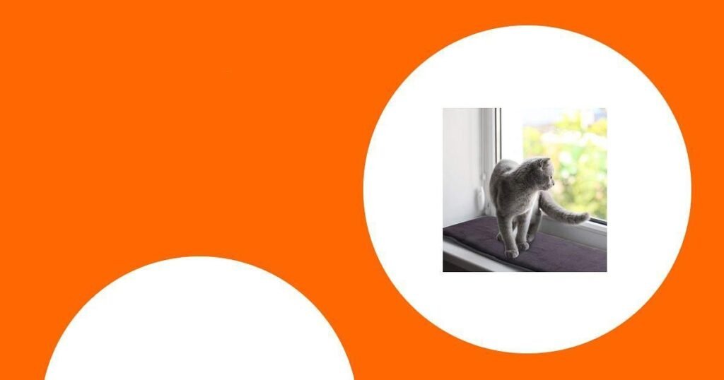 Die besten Fensterliegeplätze für Katzen im Vergleich