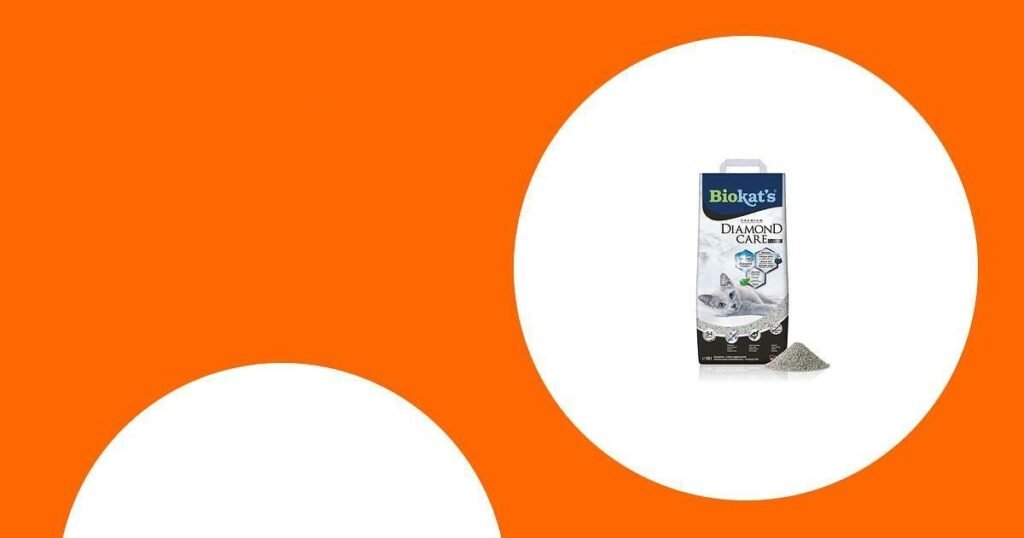 Die beste Silikat-Katzenstreu: 10 Empfehlungen im Überblick