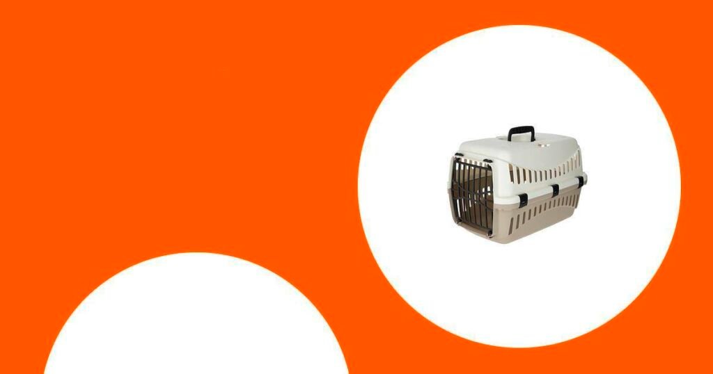 Die besten Katzen-Transportboxen im Vergleich