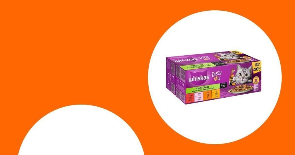 Bestes Kittenfutter für gesundes Wachstum im Vergleich