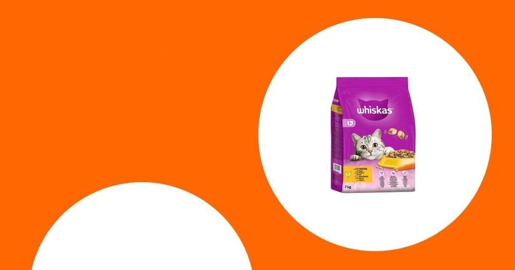 Bestes Trockenfutter für Katzen: Empfehlungen und Kaufberatung