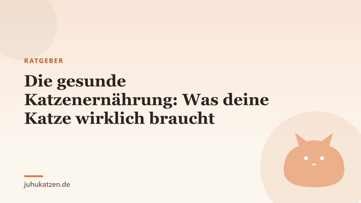 Die gesunde Katzenernährung: Was deine Katze wirklich braucht
