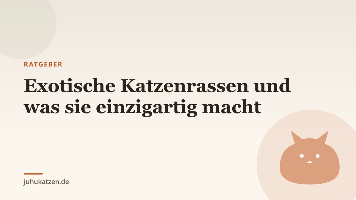 Exotische Katzenrassen und was sie einzigartig macht
