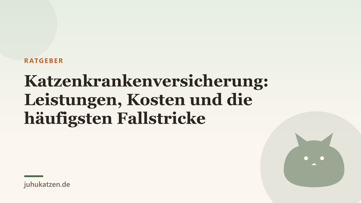 Katzenkrankenversicherung: Leistungen, Kosten und die häufigsten Fallstricke