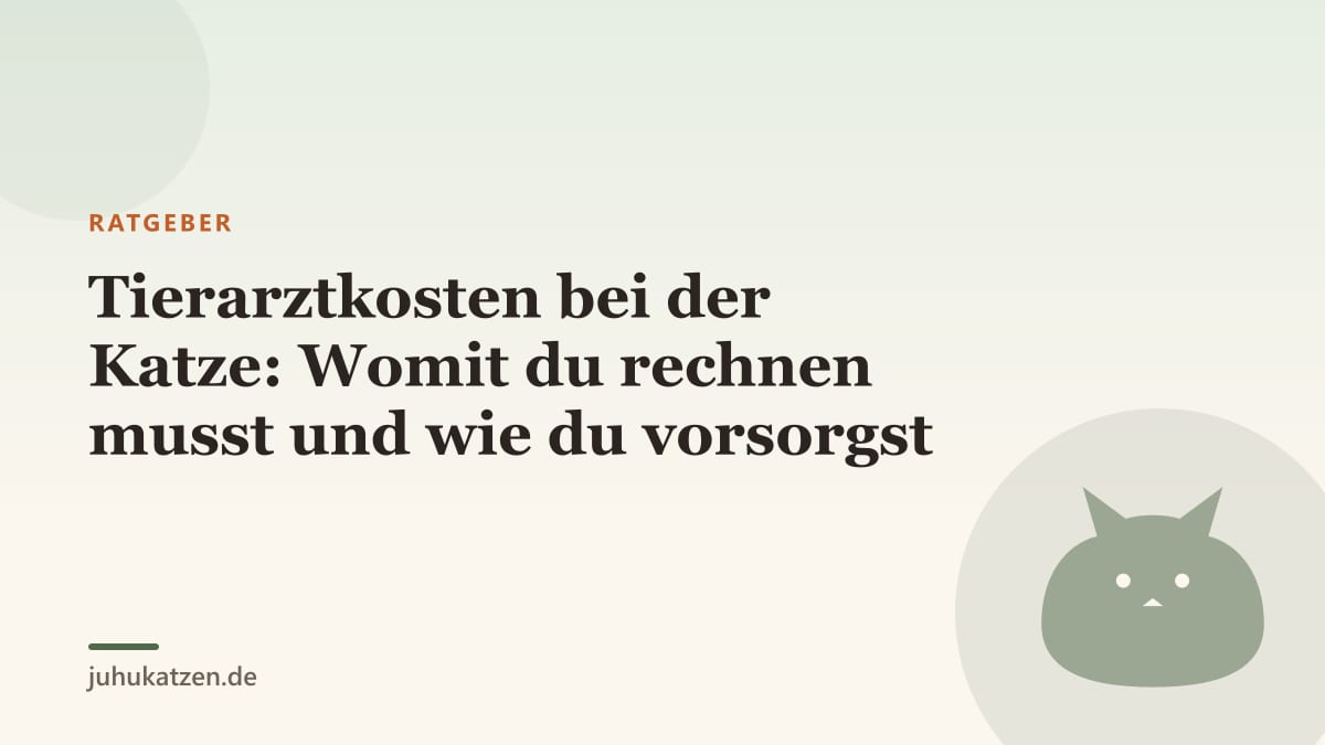Tierarztkosten bei der Katze: Womit du rechnen musst und wie du vorsorgst